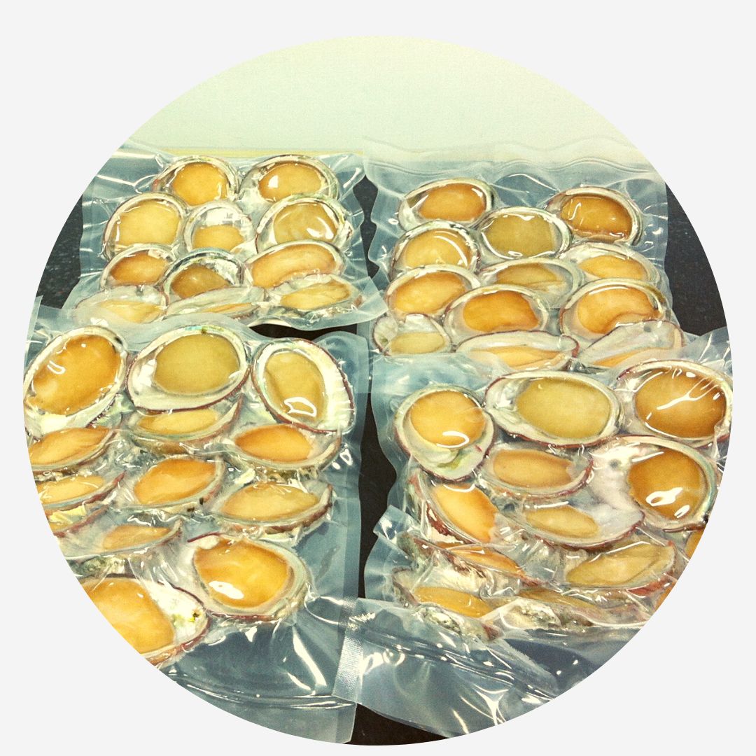 Chilean Abalone