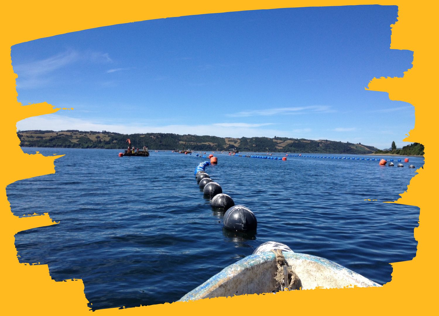 Chilean Abalone Farm Chiloe