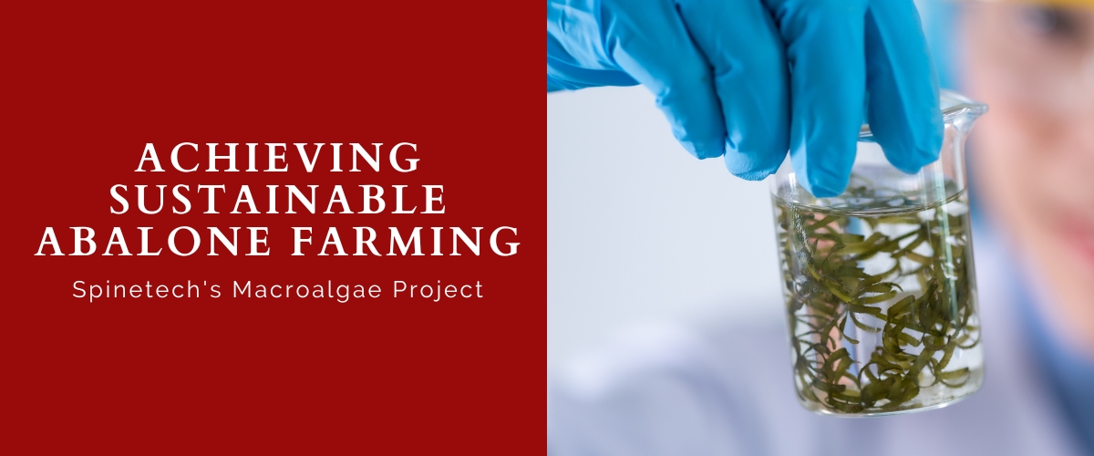 Macroalgae Project